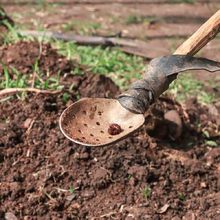 Parque de Jovita, embellecido y libre de hormiga arriera
