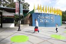 &ldquo;A partir del domingo, el Zool&oacute;gico de Cali est&aacute; abierto&rdquo;: Jorge Iv&aacute;n Ospina