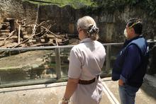 &ldquo;A partir del domingo, el Zool&oacute;gico de Cali est&aacute; abierto&rdquo;: Jorge Iv&aacute;n Ospina