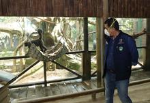 &ldquo;A partir del domingo, el Zool&oacute;gico de Cali est&aacute; abierto&rdquo;: Jorge Iv&aacute;n Ospina