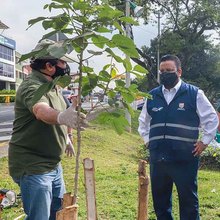 Sembrando Amor por Cali, la primera jornada de embellecimiento ambiental y paisaj&iacute;stico