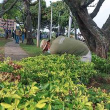 Sembrando Amor por Cali, la primera jornada de embellecimiento ambiental y paisaj&iacute;stico