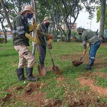 Sembrando Amor por Cali, la primera jornada de embellecimiento ambiental y paisaj&iacute;stico