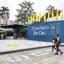 El zool&oacute;gico de Cali, abierto para toda la cale&ntilde;idad
