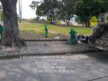 Semana de limpieza en la Sultana del Valle, somos #GuardianesDeVida