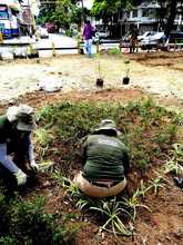 Embellecimiento de Cali en manos del Comit&eacute; Interinstitucional