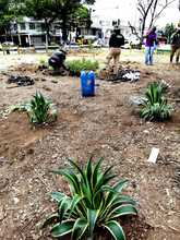 Embellecimiento de Cali en manos del Comit&eacute; Interinstitucional