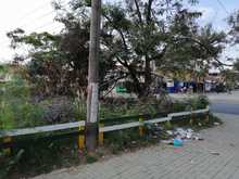 Embellecimiento de Cali en manos del Comit&eacute; Interinstitucional