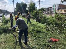 Embellecimiento de Cali en manos del Comit&eacute; Interinstitucional