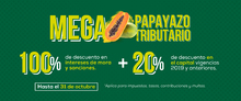Banner home principal megapapayazo.jpg