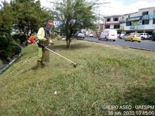 Estamos dejando como una tacita de t&eacute; a la amada Cali 