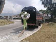 Estamos dejando como una tacita de t&eacute; a la amada Cali 