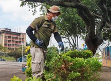 Primera rendici&oacute;n de cuentas del Dagma, este mi&eacute;rcoles a trav&eacute;s de Facebook Live