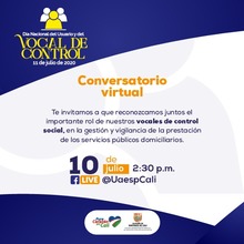 dia del vocal de control julio 10 2020