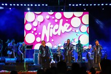 La salsa cale&ntilde;a, a un paso de ser Patrimonio Cultural Inmaterial de los colombianos