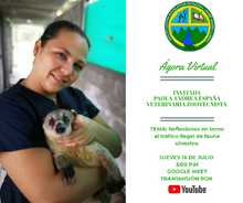 &Aacute;gora Virtual y la alianza con ANDE