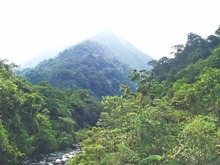 Organismos ambientales reconocen el Modelo de Pago por Servicios Ambientales de Cali