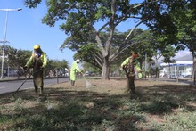 Santiago de Cali se enluce para celebrar sus 484 a&ntilde;os