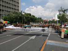 Alcald&iacute;a de Cali y carretilleros buscan alternativas a veh&iacute;culos de tracci&oacute;n animal