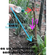 IE Luis Fernando Caicedo le apuesta a las ciencias naturales en aislamiento preventivo. 