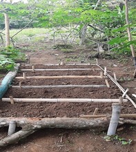 IE Luis Fernando Caicedo le apuesta a las ciencias naturales en aislamiento preventivo. 