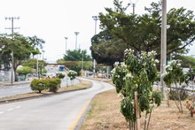 M&aacute;s de 400 mil metros cuadrados de zonas verdes han sido recuperadas