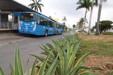 M&aacute;s de 400 mil metros cuadrados de zonas verdes han sido recuperadas