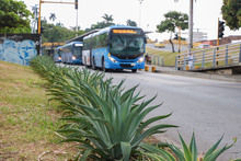 M&aacute;s de 400 mil metros cuadrados de zonas verdes han sido recuperadas