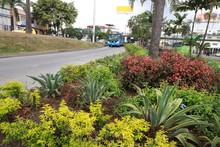 M&aacute;s de 400 mil metros cuadrados de zonas verdes han sido recuperadas