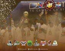 Cali ser&aacute; sede de la Liga Profesional de Baloncesto 2020 