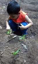 Iniciativas escolares innovadoras durante la pandemia tendr&aacute;n cabida en la Feria del Libro Cali 2020