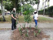 Dagma realiza renaturalizaci&oacute;n y embellecimiento de parque en el barrio Prados de Oriente