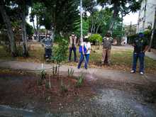 Dagma realiza renaturalizaci&oacute;n y embellecimiento de parque en el barrio Prados de Oriente