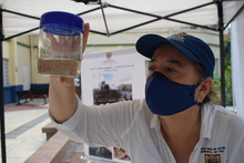 Casos de dengue disminuyeron en Cali, alerta amarilla contin&uacute;a