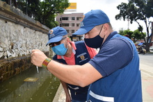 Casos de dengue disminuyeron en Cali, alerta amarilla contin&uacute;a