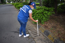 En Cali las acciones contra el dengue se han intensificado  