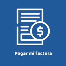 Pagar mi factura