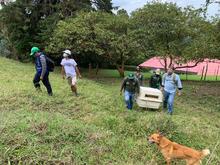 Dagma rescat&oacute; y liber&oacute; a oso perezoso en zona rural 