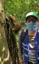 Dagma rescat&oacute; y liber&oacute; a oso perezoso en zona rural 