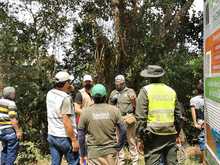 Dagma rescat&oacute; y liber&oacute; a oso perezoso en zona rural 