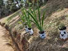 Inici&oacute; en la comuna 6 el programa &lsquo;Semillas de Educaci&oacute;n Ambiental&rsquo;