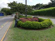 El DAGMA es referente para Antioquia en temas ambientales