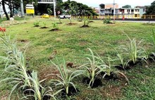 El DAGMA es referente para Antioquia en temas ambientales