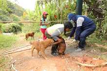 Jornada de Salud en corregimiento Pichind&eacute;
