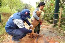 Jornada de Salud en corregimiento Pichind&eacute;