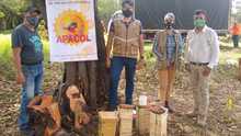 Siete enjambres de abejas nativas sin aguij&oacute;n fueron rescatados y llevados al meliponario del DAGMA