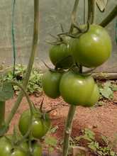 IEO La Leonera hace realidad un proyecto de innovaci&oacute;n en seguridad alimentaria