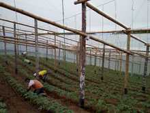 IEO La Leonera hace realidad un proyecto de innovaci&oacute;n en seguridad alimentaria