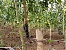 IEO La Leonera hace realidad un proyecto de innovaci&oacute;n en seguridad alimentaria