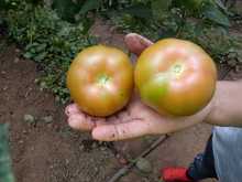 IEO La Leonera hace realidad un proyecto de innovaci&oacute;n en seguridad alimentaria